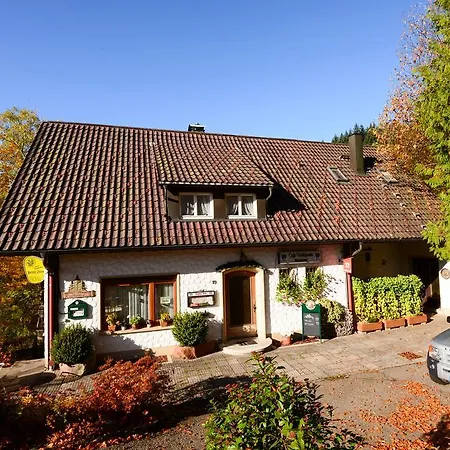 Cafe Waldfrieden Bad Peterstal-Griesbach